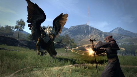 Dragon's Dogma (1)