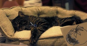 Podcast 12-2: Remy, UDraw Me Like One of Your French Girls