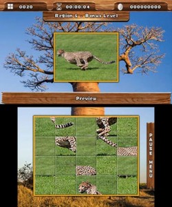 Safari Quest 3