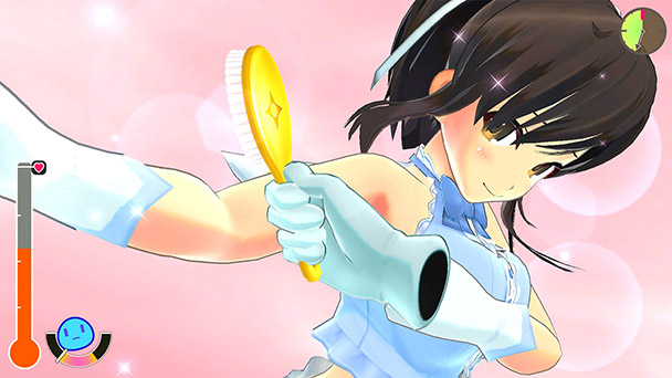 senran kagura reflexions premium senran kagura reflexions premium